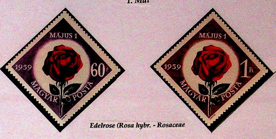 HUNGRÍA Sc 1222-3 NH EDICIÓN DE 1959 - DÍA DE MAYO - FLORES - (LN25) Foto 1 de 1