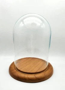 7,5"x5,25" Klar Cloche Glas Kuppel Glas Glocke Glas Display mit Holzsockel - Bild 1 von 5