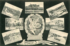 AK Halle a. d. Saale ca. 1910 (?) Saalepartien Cröllwitz Peissnitz Rabeninsel - Picture 1 of 1