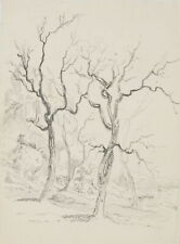 G. CANELLA (1788-1847), Ansicht einer Gruppe kahler Bäume, um 1810, Bleistift