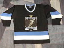 Vintage Starter ATLANTA KNIGHTS Minor League IHL Hockey Jersey Sz L Defunct Team
