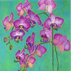 TARJETAS DE FELICITACIÓN BELLAS ARTES FLORES JARDÍN Orquídeas CUMPLEAÑOS CAJA GEORGIA EN BLANCO - Imagen 1 de 1