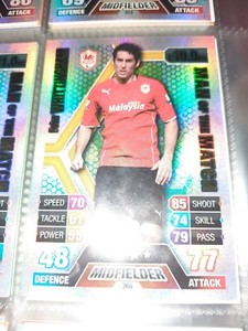 Match attax 2013 2014 Peter Whittingham Man Of the Match #368 Cardiff