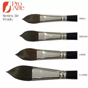 PRO ARTE SERIES 50 - GAMMA DI SPAZZOLE PER LAVAGGIO ARTIST PURE SCOIATTOLO KAZAN - Foto 1 di 4