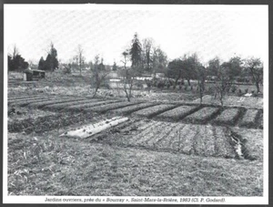1984 -- SAINT MARS LA BRIERE . JARDINS OUVRIERS PRES BOURRAY . 4B523 - Picture 1 of 1