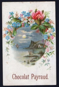 TC0291 Trade Card: Chocolat Payraud - Fleurs - Bild 1 von 2