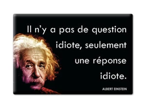 ALBERT EINSTEIN APHORISMS QUOTES ""IDIOT QUESTION ONLY"" MAGNET-12 - Picture 1 of 8
