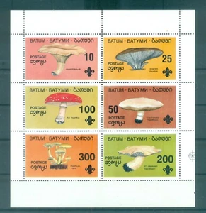Batum 1995 - Funghi - Emissione non autorizzata - Picture 1 of 1