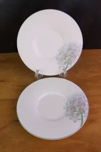 Noritake PACIFIC WINDS Set 2 Piattini Nuova Collezione Decennio Giappone (no tazze) - Foto 1 di 4