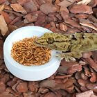 2 Pcs Reptile Bowl Tank Accessories Bearded Dragon Food Climbing Pet