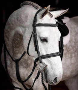 LeMieux Stitched Hunter Bridle + Laced Reins Anatomic Padded Comfort Black/Brown - Picture 1 of 8