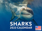 Shark 2023 Wall Calendar Ocean Sea Fish Teeth Jaws Large 18 Month Planner