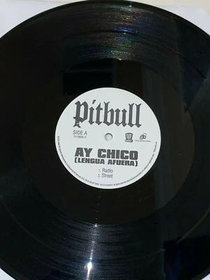 PITBULL - AY CHICO LENGUA AFUERA - TVT 2828 PROMO - VINYL LP SINGLE Foto 1 de 3