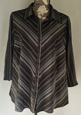 Covington 女式衬衫上衣,尺寸 20W/22W 20/22 棕色蓝色白色条纹 — 第 1/4 张图片