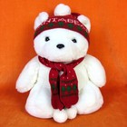 1985 Dayton Hudson Santa Bear Original First One Scarf and Hat