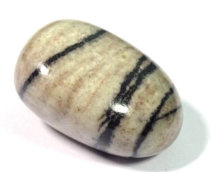 LARGE NET  JASPER TUMBLESTONE - (SPIDERS WEB JASPER) 3.0 x 2.3 cm  19.02 gms #X - Picture 1 of 4