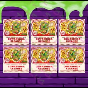Dr Squatch TMNT Cowabunga Cleanse paquete de 6 - Imagen 1 de 2