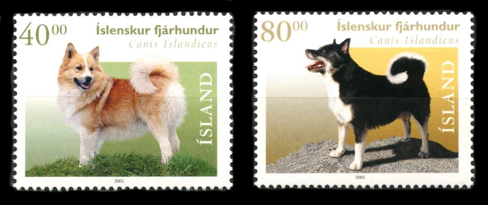 Islandia: Perros pastores islandeses 2001 (933-934) MNH Foto 1 de 1