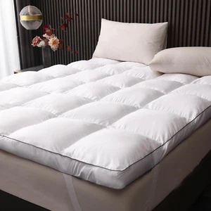 3 Inch Memory Foam Mattress Topper Queen Size, Pillow Top with Soft Fluffy Shred - Picture 1 of 12