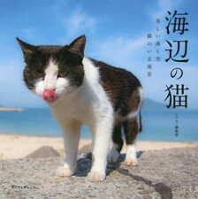 Animal Pet Magazine Seaside Cat