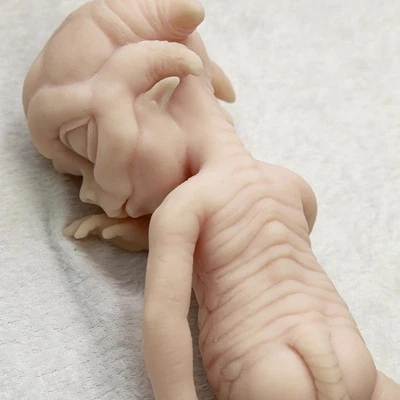 35cm Reborn Baby Doll Full Body Soft Silicone Heterotypic Dolls Boy - Image 1 of 4