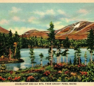 Postal de colección Doubletop y Oji Mountains estanque herboso bosque ilustración ME - Imagen 1 de 4