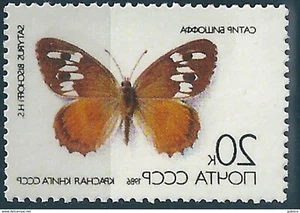11625 Russia USSR Flora Insect Butterfly ERROR Mirror Print (1 Stamp) - Picture 1 of 2