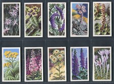BROOKE BOND TEA - WILD FLOWERS (2ND "ISSUED IN") - PICK YOUR CARD