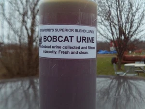 Natural BOBCAT URINE - Picture 1 of 1