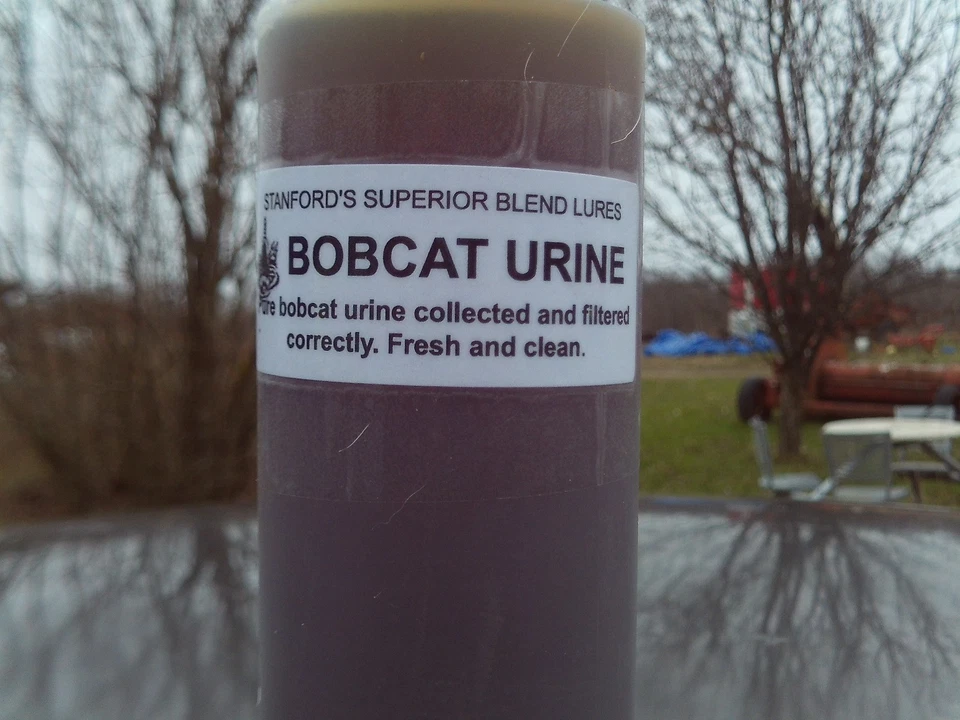 Natural BOBCAT URINE - Image 1 of 1