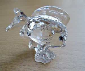 SWAROVSKI CLEAR TANG FISH - SCS ONLY 2007 - 9100000067 - 883822 - Imagen 1 de 5
