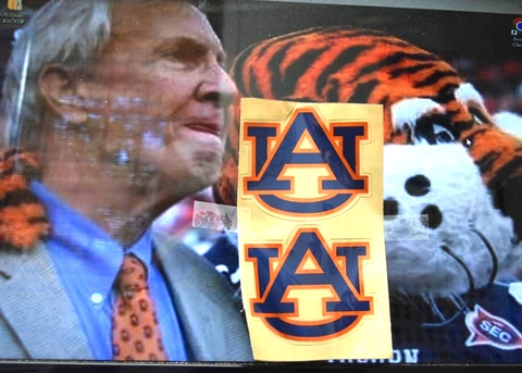 SET of CHROME DECALS - AUBURN TIGERS - for SPEED FLEX HELMET - with 3D Bumpers Cover