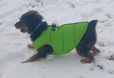 GOOBY Padded Dog Jacket Vest Warm Fleece Water Resistant S-M Dogs Leash D-Ring - Image 1 of 4