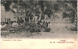 CPA Carte Postale Congo Français Préparation du Cacao VM87630ok - Picture 1 of 2