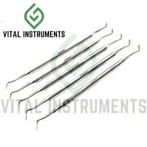 5 Pcs Dental Wax Amalgam Carver Ward #2 Placing Composite Restorative Instrument - Picture 1 of 1