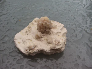 Chalcedon Knolle Stufe, leicht UV-Aktiv bei 365nm Spanien Heilstein 134g - Bild 1 von 4