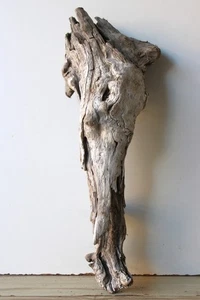 Madera flotante Driftwood 1 raíz nudosa decoración terrario 51 cm - Imagen 1 de 14