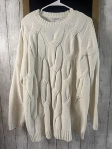 Neu mit Etikett J. Jill Strickpullover Chenille elfenbeinfarben Extra Large XL Tall - Bild 1 von 6
