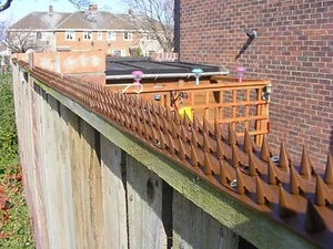 TIRAS DE JARDÍN CON PICOS DE CERCA ANTI ESCALADA LADRÓN - Imagen 1 de 34