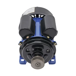 Trilladora de maíz eléctrica 2800 rpm 480 W 110 V - Imagen 1 de 18