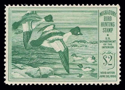 RW16 — 1949 American goldeneye, VF-XF 85 NH, PSE Certificate - Image 1 of 2