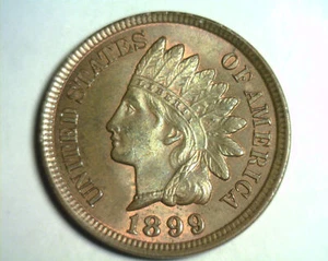 CENTAVO INDIO 1899 ELECCIÓN CENTAVO SIN CIRCULAR/GEMA+ MARRÓN CH SIN CIRCULAR / GEMA+ BN ORIGINAL - Imagen 1 de 2