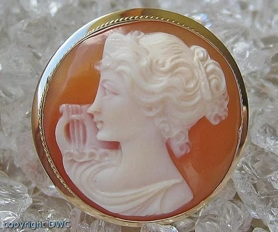 Ansteck Nadel Brosche mit Gemme in 18 Kt 750 Gold Antik Muschel Sammlerstück - Bild 1 von 4