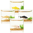 4 Pcs Miniatur Fischglas Mini Hausversorgung Puppenhaus Bucher Small Favors