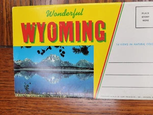 Vintage WY Wyoming & Old Faithful Souvenir Folder - FREE SHIP* # 28 - Picture 1 of 11