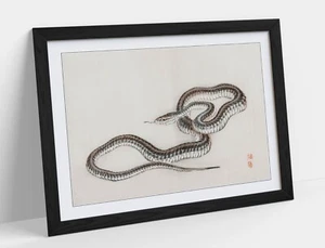 SNAKE BY KONO BAIREI, JAPANESE ARTWORK -FRAMED WALL ART POSTER PAPER PRINT - Picture 1 of 10