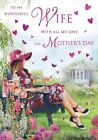 Mother's Day Card - Wonderful Wife - Gin Garden - Glitter - Regal