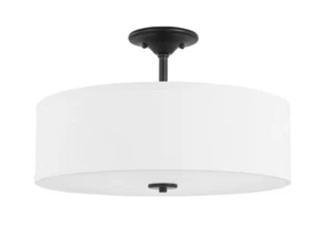 P350167-143 Progress Lighting 18 in. Graphite 3-Light Transitional Ceiling Light - Picture 1 of 7
