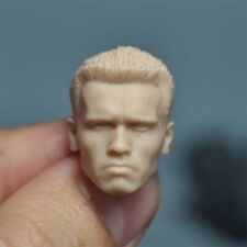 Unpainted Arnold 1:12 Head Sculpt Fit 6'' Muscle Male Action Figure Body Toys