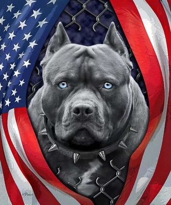 Plush Queen Size Dog Blanket - Extremely Soft - Patriotic Pitbull - Image 1 of 3